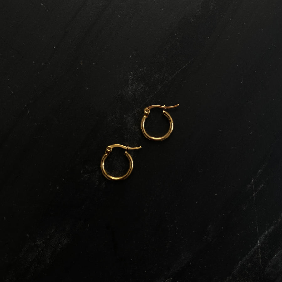 Small Golden Hoops